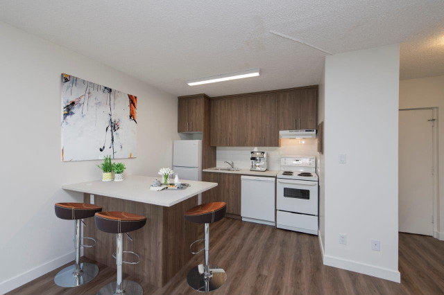 Kensington Apartment For Rent | Kensington Apartments in Long Term Rentals in Calgary - Image 2