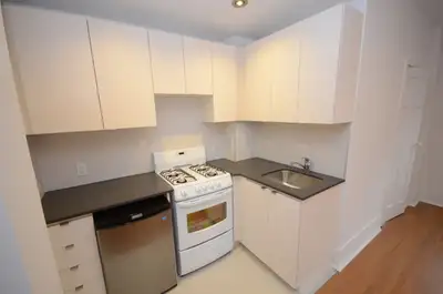 Renovated One Bedroom, College and Spadina - ID 1915