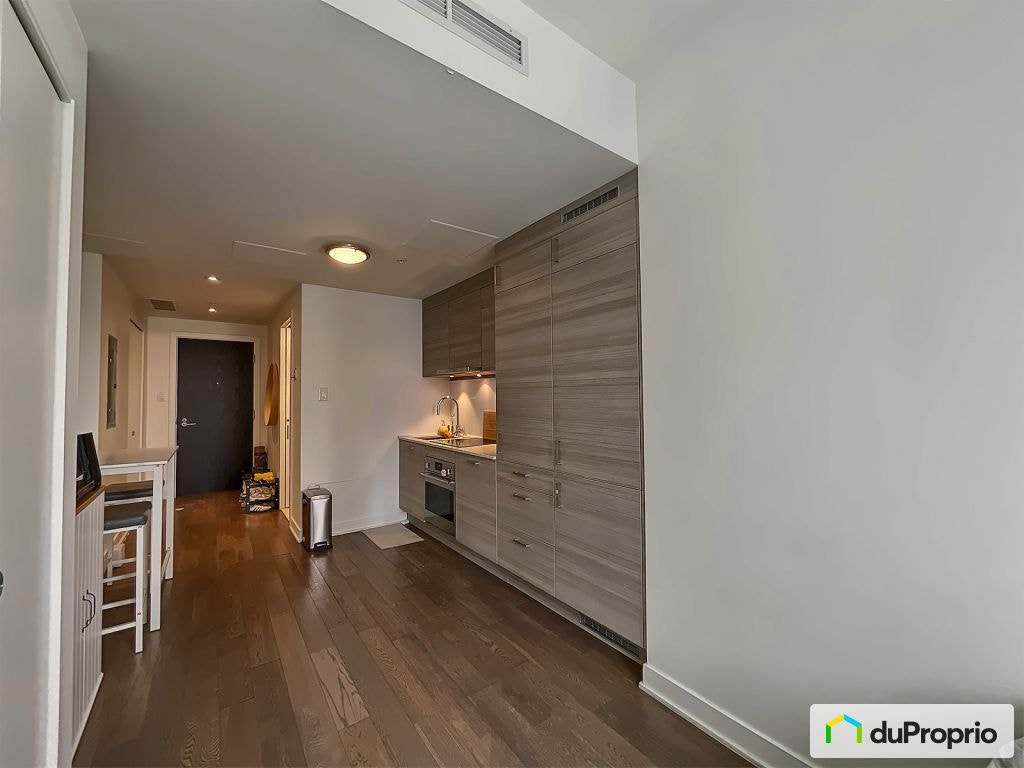 $333,333 - Condominium in Ville-Marie (downtown, old Mtl) — photo 3