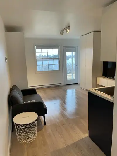 Lake Living - Furnished Studio Apartment on Doctor's Lake (All Inclusive) Lakeside Suites, formerly...