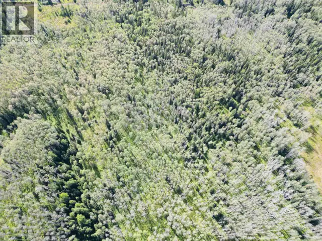 DL 941 SHAEFFER LAKE Burns Lake, British Columbia in Land for Sale in Burns Lake - Image 7