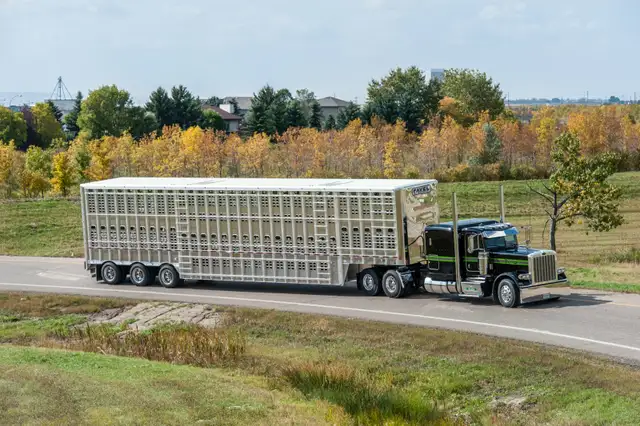 Owner Operator - Livestock Division in Drivers & Security in Moose Jaw - Image 11