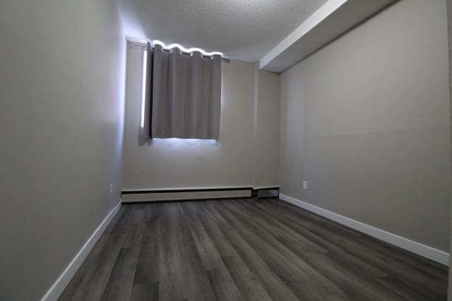 Pleasant Hill Apartment For Rent | Virgo Apartments in Long Term Rentals in Saskatoon - Image 4