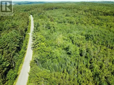 Discover the ideal balance of natural beauty and everyday convenience with this prime 13 acre buildi...