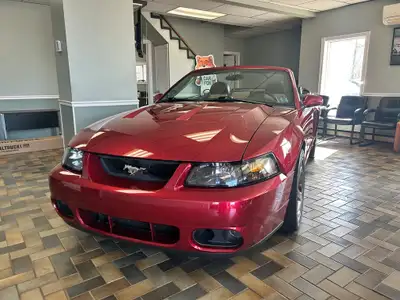 WHY THIS COBRA IS NEXT LEVEL: SVT COBRA TERMINATOR Supercharged, iconic, and getting harder to find...
