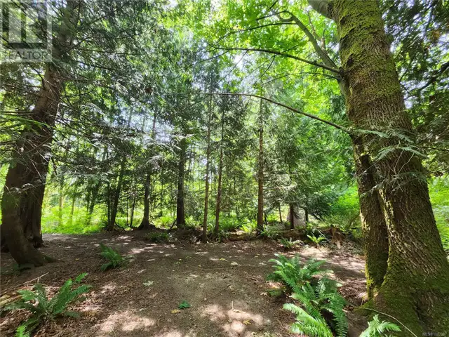 1075 SPIDER LAKE Rd Qualicum Beach, British Columbia in Houses for Sale in Parksville / Qualicum Beach - Image 15