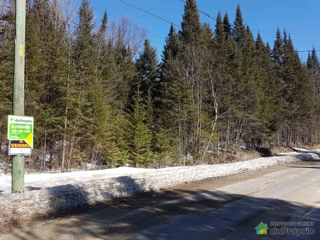 $69,900 - Residential Lot for sale in Lac-Superieur — photo 3