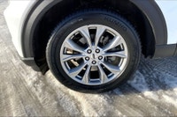 2.3 L 4 Cyl Engine Vehicle Options: Leather Interior, Sunroof, Wireless Charging, Blind Spot Monitor... (image 8)