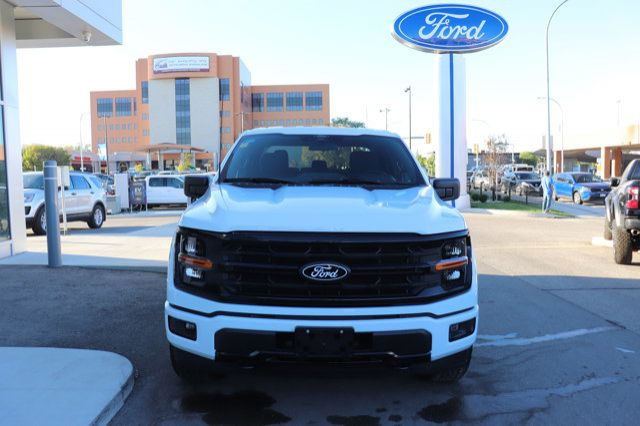 2025 Ford F-150 XLT in Cars & Trucks in Winnipeg - Image 2