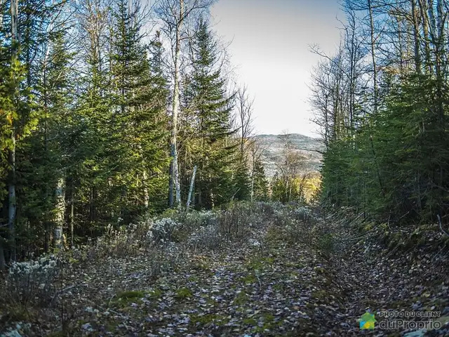 $750,000 - Land to be developed for sale in Baie-St-Paul in Land for Sale in Québec City - Image 5