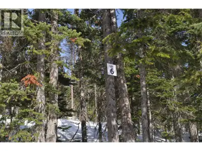 Live on Hudson Bay Mountain and ski to and from your door! The Estates is Smithers' modern mountain...