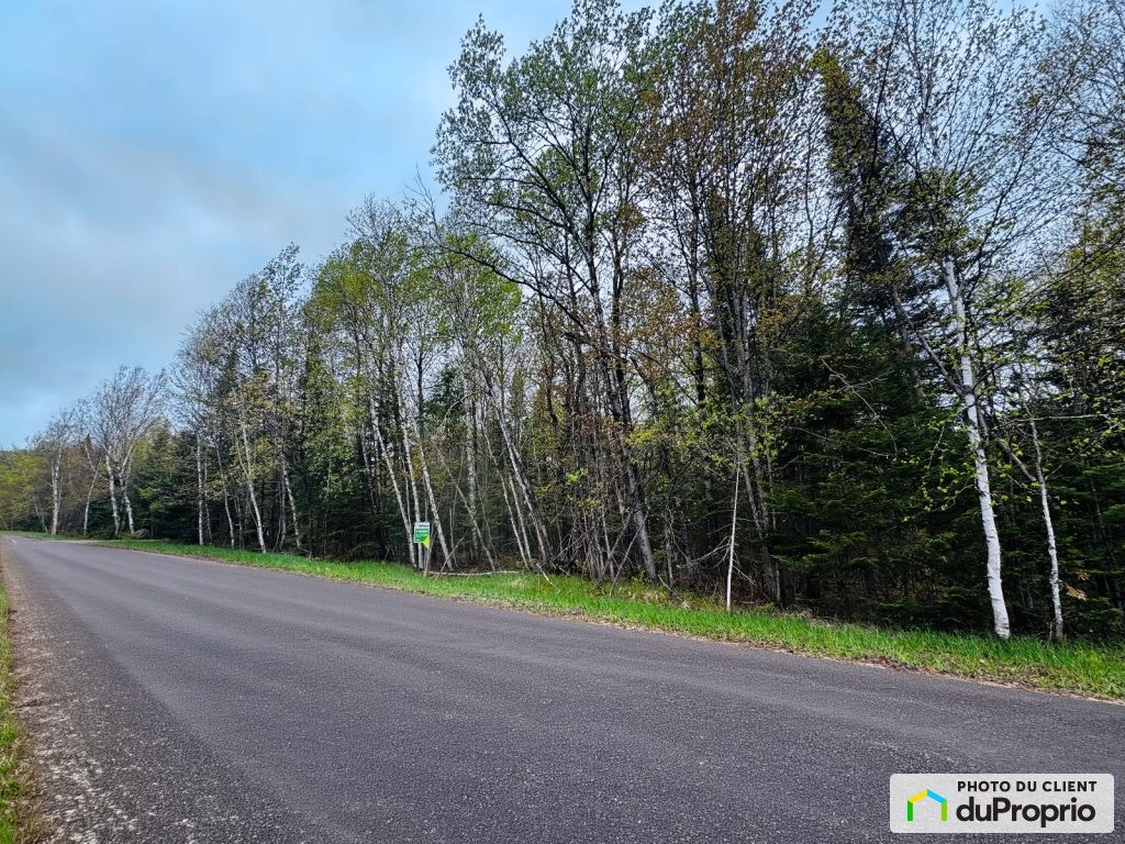 $119,000 - Residential Lot for sale in Lac-Superieur — photo 2