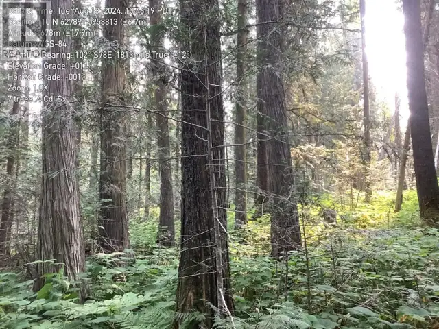 BLK D DOME CREEK Dome Creek, British Columbia in Houses for Sale in Quesnel - Image 16