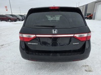 NEW ARRIVAL!!! NO ACCIDENTS!!! HEATED LEATHER!!! DVD!!! POWER SLIDING DOORS!! NAVIGATION!!! 2012 Hon... (image 3)