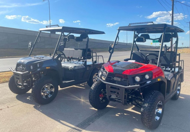 BRAND NEW VITACCI ROVER 200 GOLF CART 4 SEATER / UTV / ATV in Other in Winnipeg - Image 2