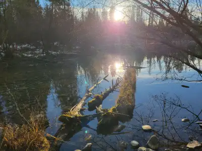 3.3 Acre Lot on Rosen Lake, backs onto Crown and has about 150 ft of waterfront. This lot is located...