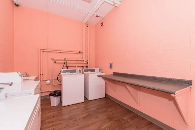 1 Female Student Bed in Unit 1 at 298 Spruce- $1,000 Gift Card!! in Room Rentals & Roommates in Kitchener / Waterloo - Image 6