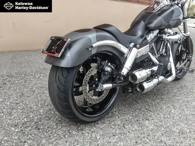 2009 Harley-Davidson FXDF - Dyna Fat Bob in Street, Cruisers & Choppers in Kelowna - Image 8