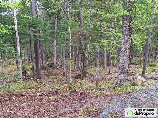 $125,000 - Residential Lot for sale in Lac-Aux-Sables — photo 3