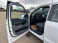 2026 Ford F 150 AMVIC Licensed Engine: 8 Cylinder Engine 5.0L Safety Equipment ABS And Driveline Tra... (image 9)
