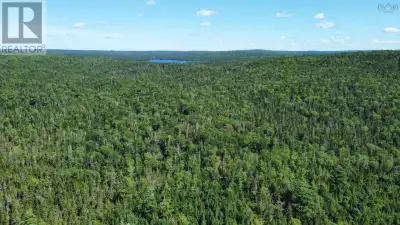 Discover approximately 80 acres of wooded land in Stormont, offering privacy, natural beauty and ple...