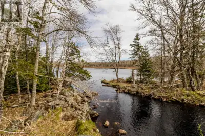 10-Acre Lot with 500 Feet of Water Frontage - Butler Road, Near Murphy Lake. Escape to nature with t...