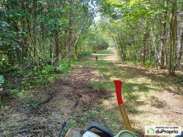$495,000 - Wood Lot for sale in Cookshire-Eaton — photo 1