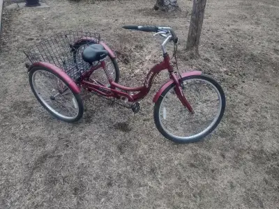 Tricycle pour adulte SCWHINN en tres bonne condition., View more