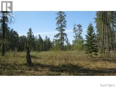 Vacant recreational lot. No building timelines, minimum 600 sq ft cabin/home. This lot is 1.56 acres...