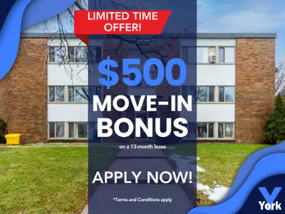 Modern & Cozy 1 Bedroom Suite – Move In Ready!