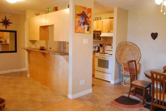 *Washer & Dryer Incl. option* 962-0747 ( barbecue friendly apt ) in Long Term Rentals in Moncton