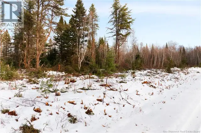 Lots 25-1 & 25-3 Cumberland Bay North Road Cumberland Bay, New B in Land for Sale in Saskatoon - Image 21