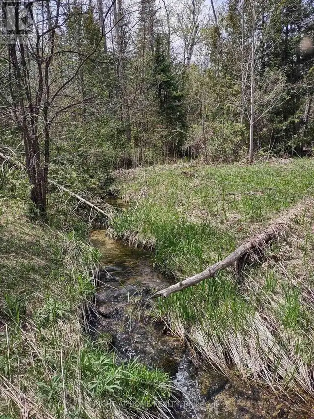 PTL 26 & PTL 27, CON 7, ORO Oro-Medonte, Ontario in Land for Sale in Barrie - Image 21