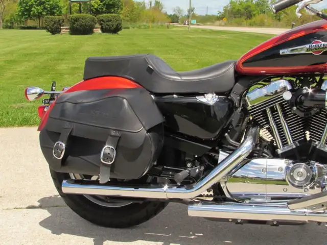 2011 Harley-Davidson Sportster XL1200C 1200 Custom in Sport Bikes in Leamington - Image 14