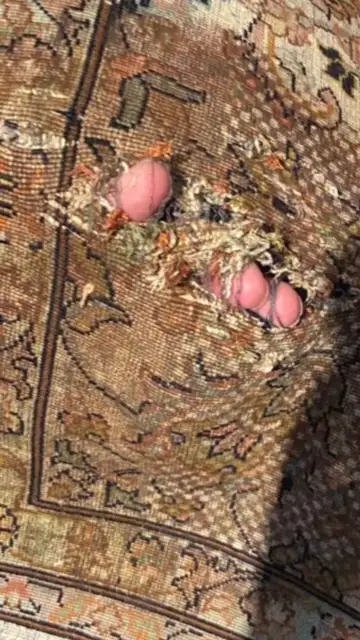 Rug cleaning and repair at Caspian Rugs Centre in Rugs, Carpets & Runners in Calgary - Image 8