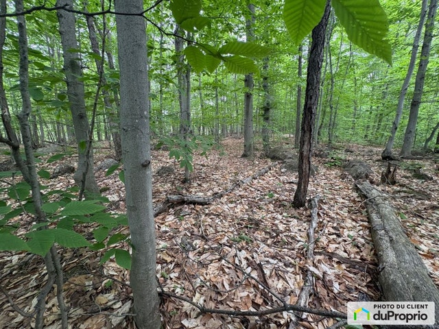 $160,000 - Residential Lot for sale in Ste-Julienne — photo 3
