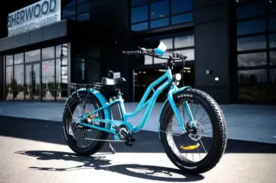 SNOW & SAND CRUISERS ST! This Vamoose Cruiser is centered on comfort. With an upright seating positi...