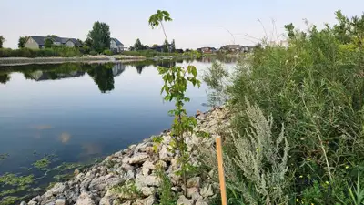 R26//Gimli Rm/Just minutes south of Gimli, tucked in the welcoming Odin Green community, lies a rare...