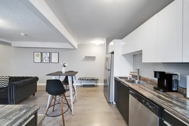 1 Bed 1 Bath Fully Furnished Steps from Niagara Falls