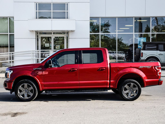 2020 Ford F-150 XLT 4WD Crew 302A Sport Local Trade in Cars & Trucks in Winnipeg - Image 4