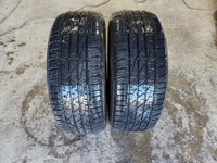 245 55 19 - FIRESTONE - ALL SEASON - PAIR Kitchener / Waterloo Kitchener Area Preview
