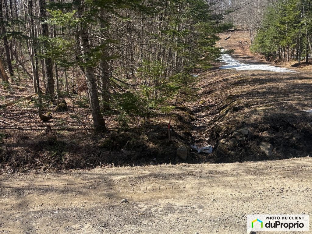 $65,000 - Residential Lot for sale in Chertsey — photo 2