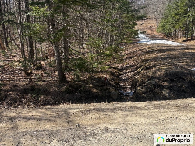 $65,000 - Residential Lot for sale in Chertsey — photo 2