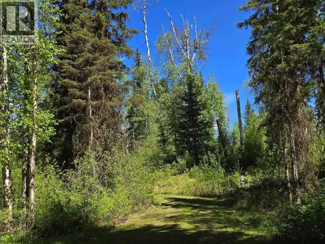 4209 ANTOINE LAKE ROAD Horsefly, British Columbia in Houses for Sale in Williams Lake - Image 35