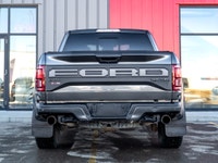 Carget Supercentre is proud to present this 2019 Ford F-150 Raptor! EXTERIOR: MAGNETIC INTERIOR: BLA... (image 6)