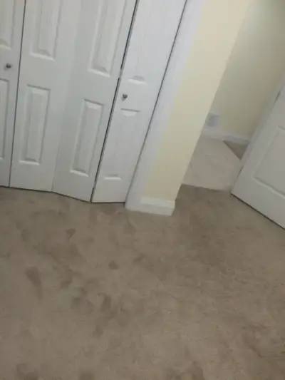 There is one room to rent in the newly built two bedrooms basement suite with private entrance avail...