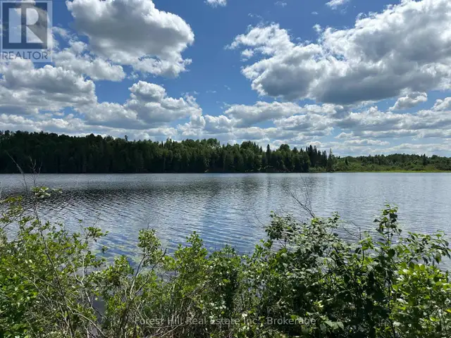 0-3 JACKS LAKE Parry Sound Remote Area (Golden Valley), Ontario63007359924353124