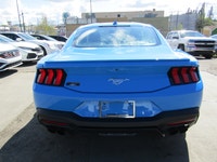 Thanks for viewing our South View Motors Inventory! 2024 FORD MUSTANG ECOBOOST PREMIUM FASTBACK IN B... (image 6)