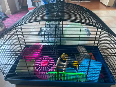 Small Hamster or Gerbil Cage with Accessories and Bedding, View more