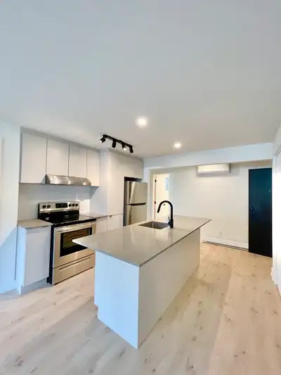 4.5 à Rosemont, électros, internet A/C inclus, dispo maintenant
